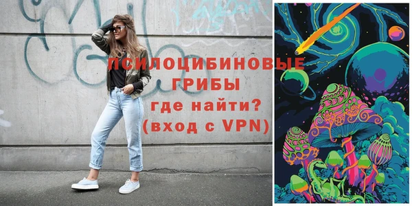 PSILOCYBIN Верея