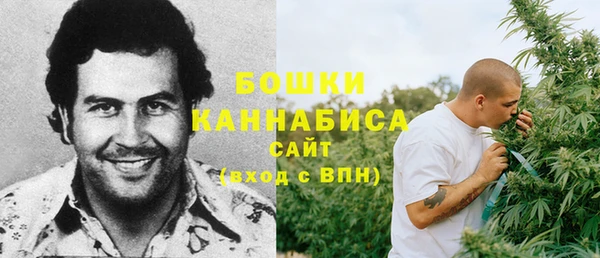 индика Володарск