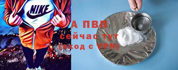 индика Володарск