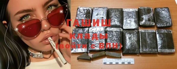индика Володарск