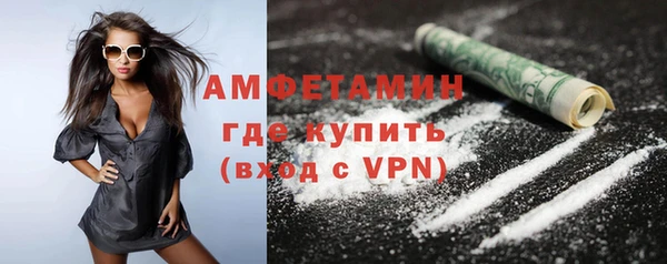 индика Володарск