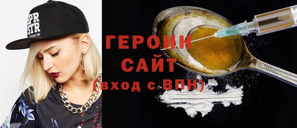 индика Володарск